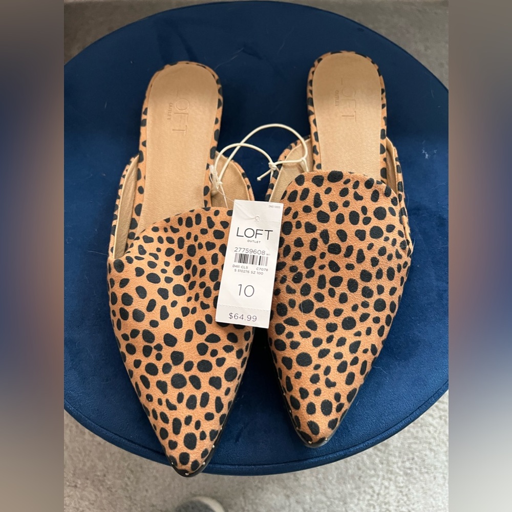 NWT Loft Slides